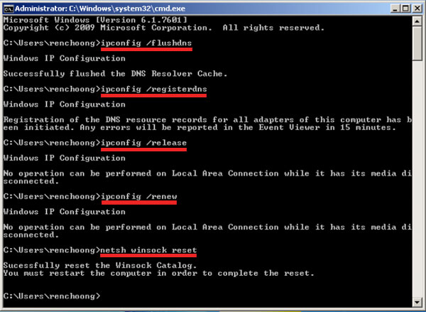 flush renew dns cache